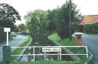 Spring wells picture